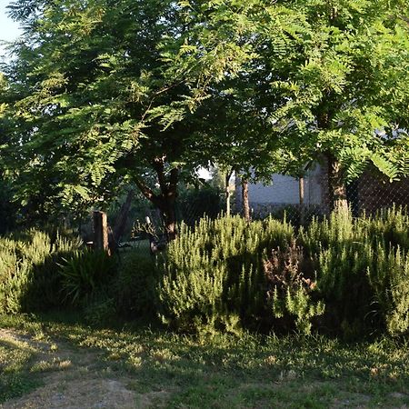 Il Saragio Villa Abbadia di Montepulciano Dış mekan fotoğraf