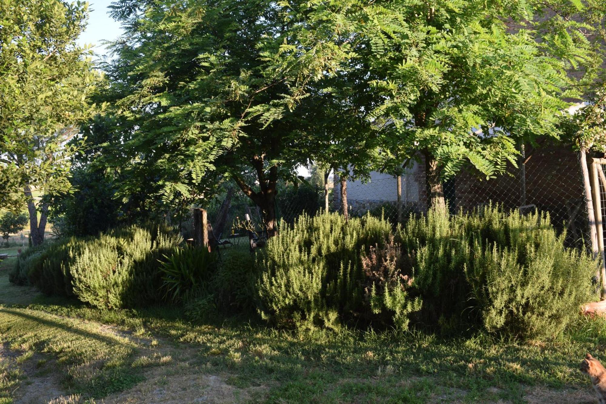Il Saragio Villa Abbadia di Montepulciano Dış mekan fotoğraf