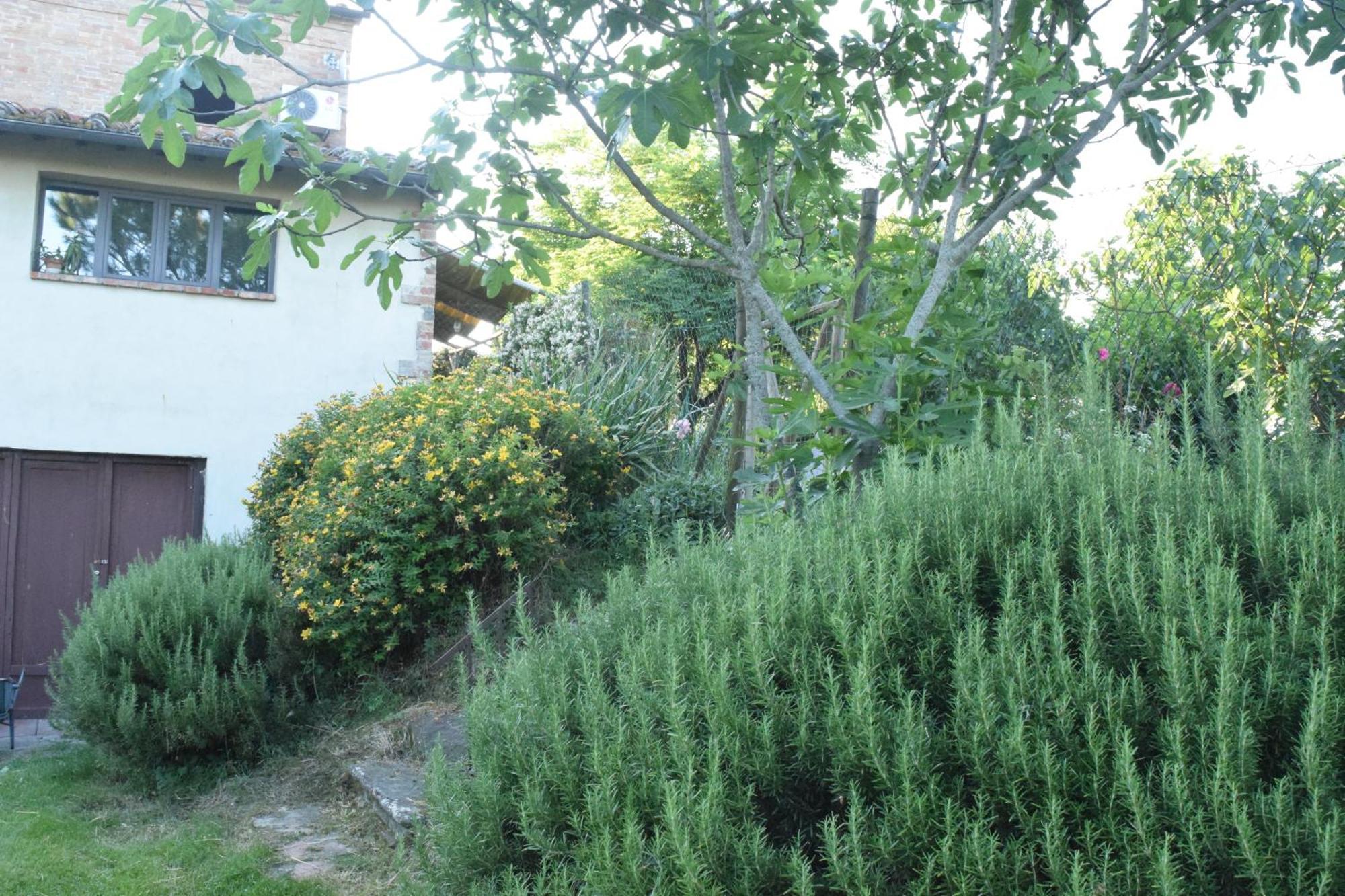 Il Saragio Villa Abbadia di Montepulciano Dış mekan fotoğraf