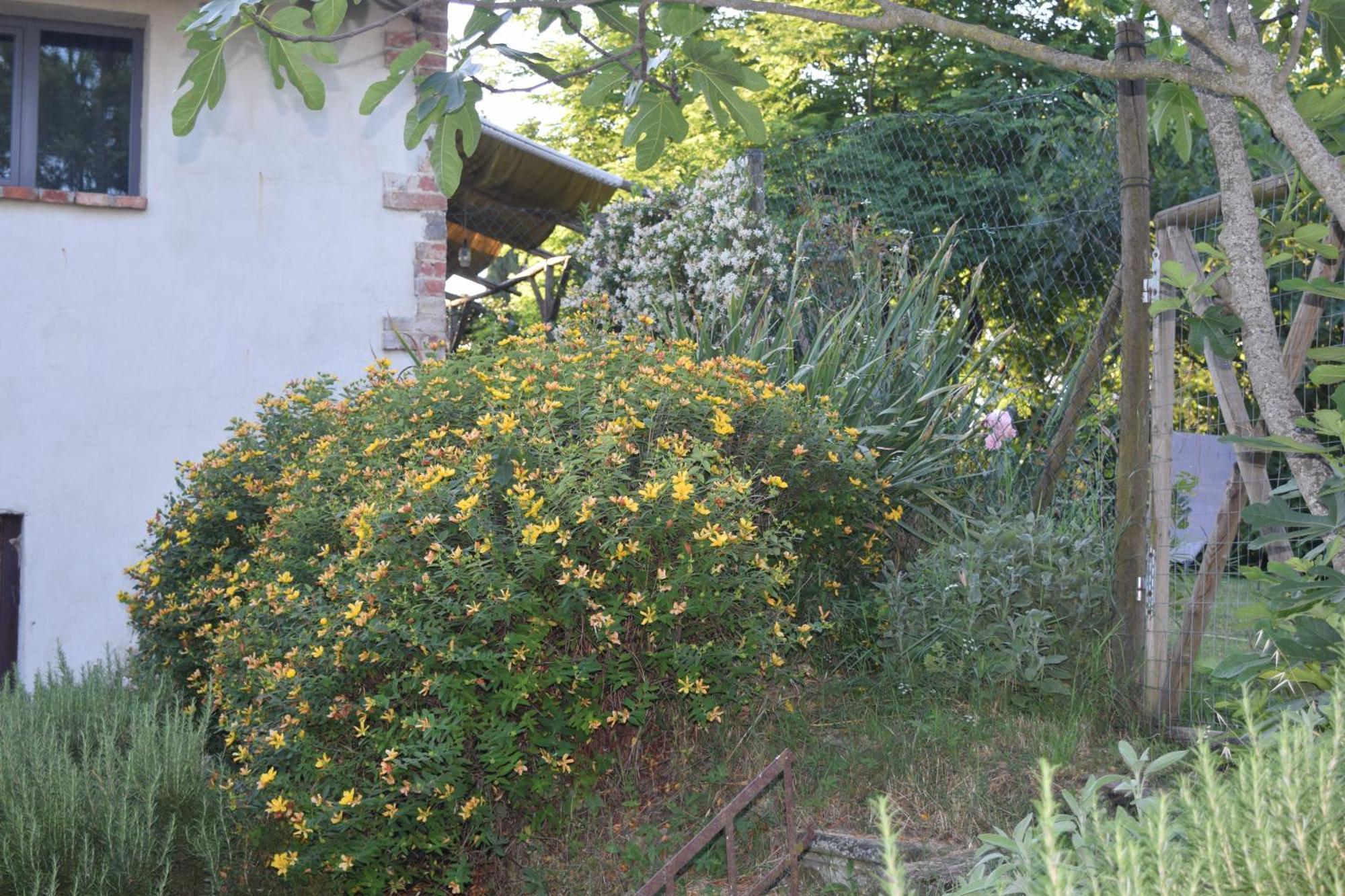 Il Saragio Villa Abbadia di Montepulciano Dış mekan fotoğraf