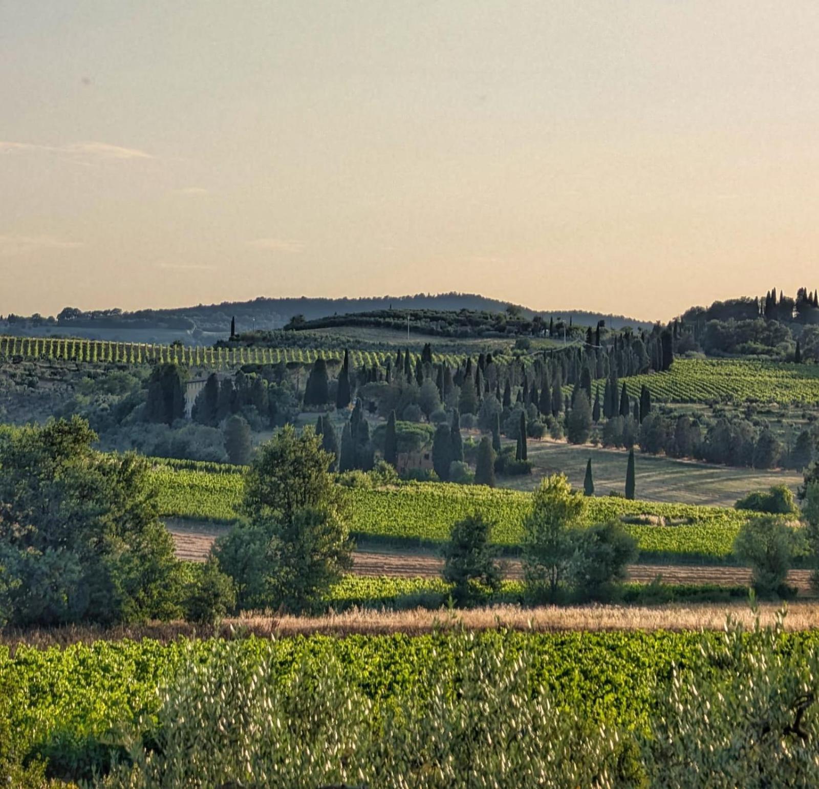 Il Saragio Villa Abbadia di Montepulciano Dış mekan fotoğraf