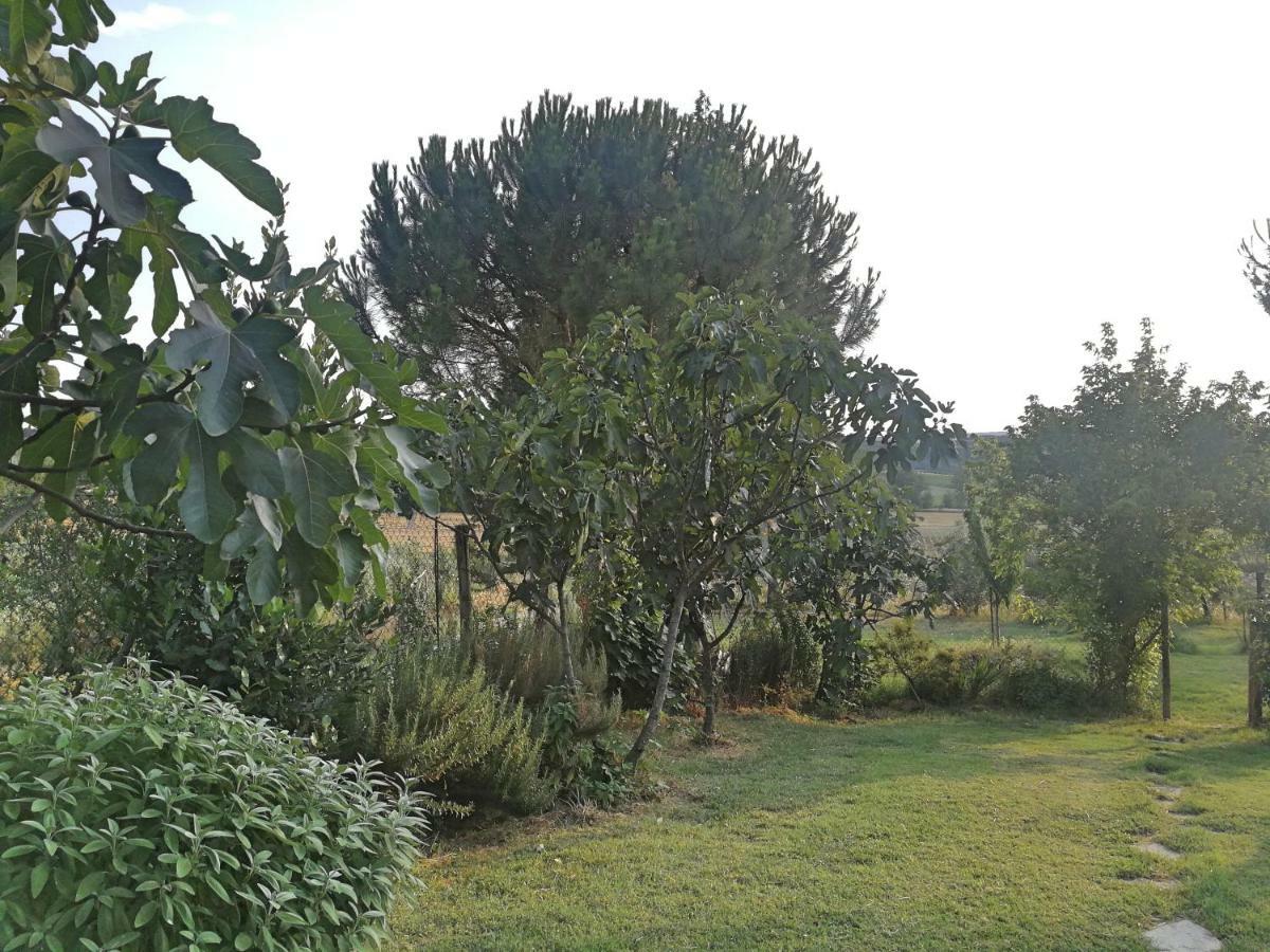 Il Saragio Villa Abbadia di Montepulciano Dış mekan fotoğraf